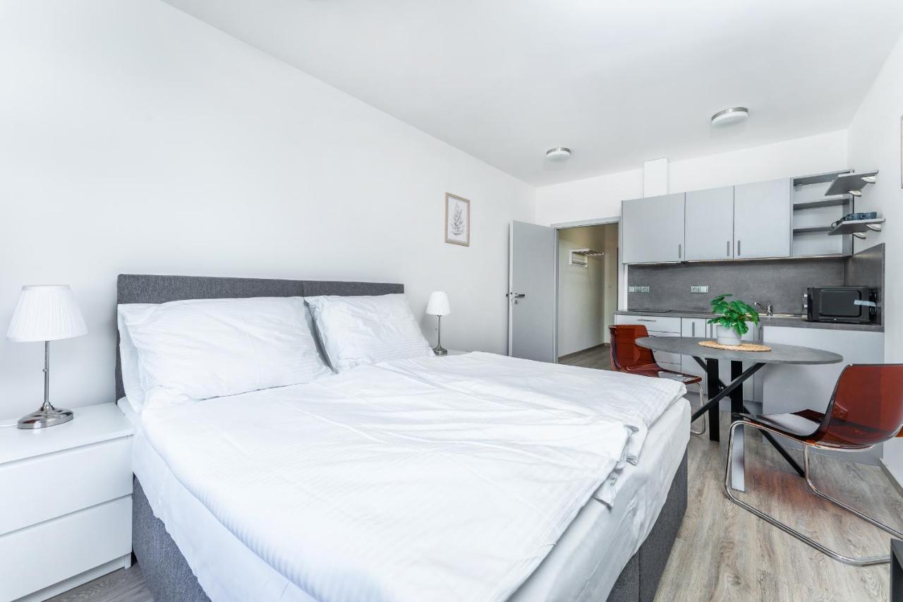 Apartman V Podebradech Poděbrady Esterno foto