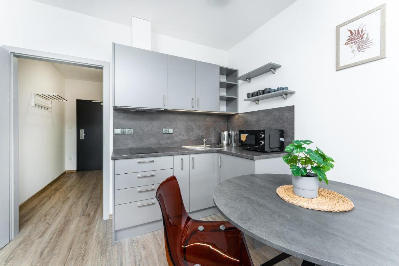 Apartman V Podebradech Poděbrady Esterno foto