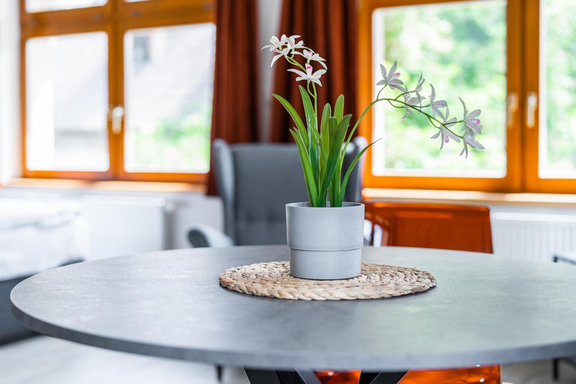 Apartman V Podebradech Poděbrady Esterno foto